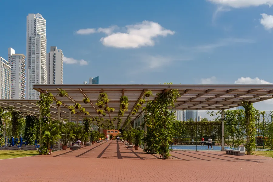 Vine-covered pergola and brick promenade on the Cinta Costera with towers behind