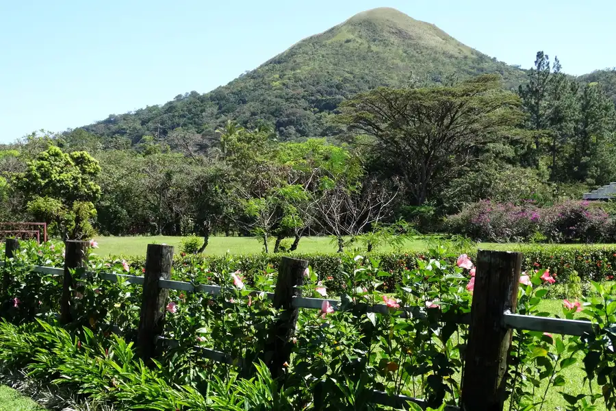 Green mountain peak above a garden with pink flowers and a wooden fence