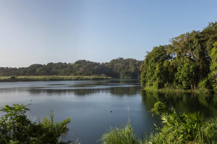Calm Gatun Lake bordered by lush green trees under a soft blue sky