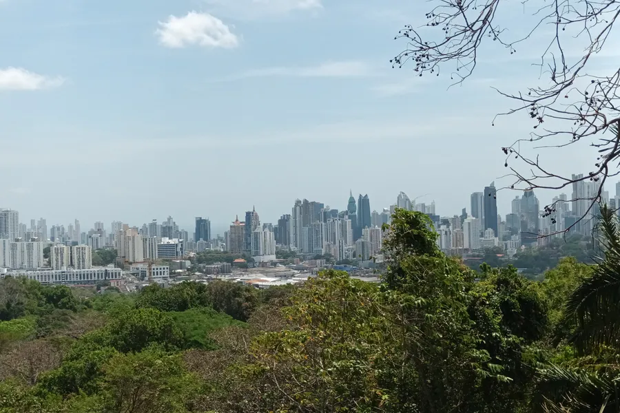 City skyline seen over dense green forest from Metropolitan Natural Park